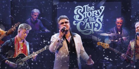 The Story of the Cats